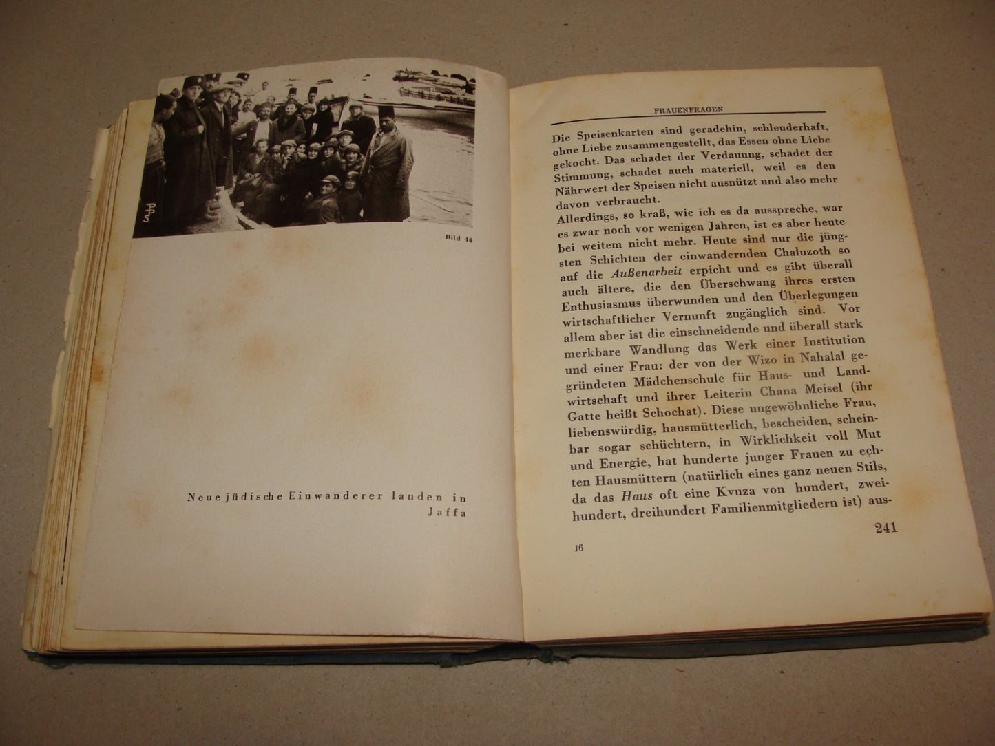 Germany Book Jewish 1933 PALESTINE Israel Hugo Herrmann Zionist Pioneers German