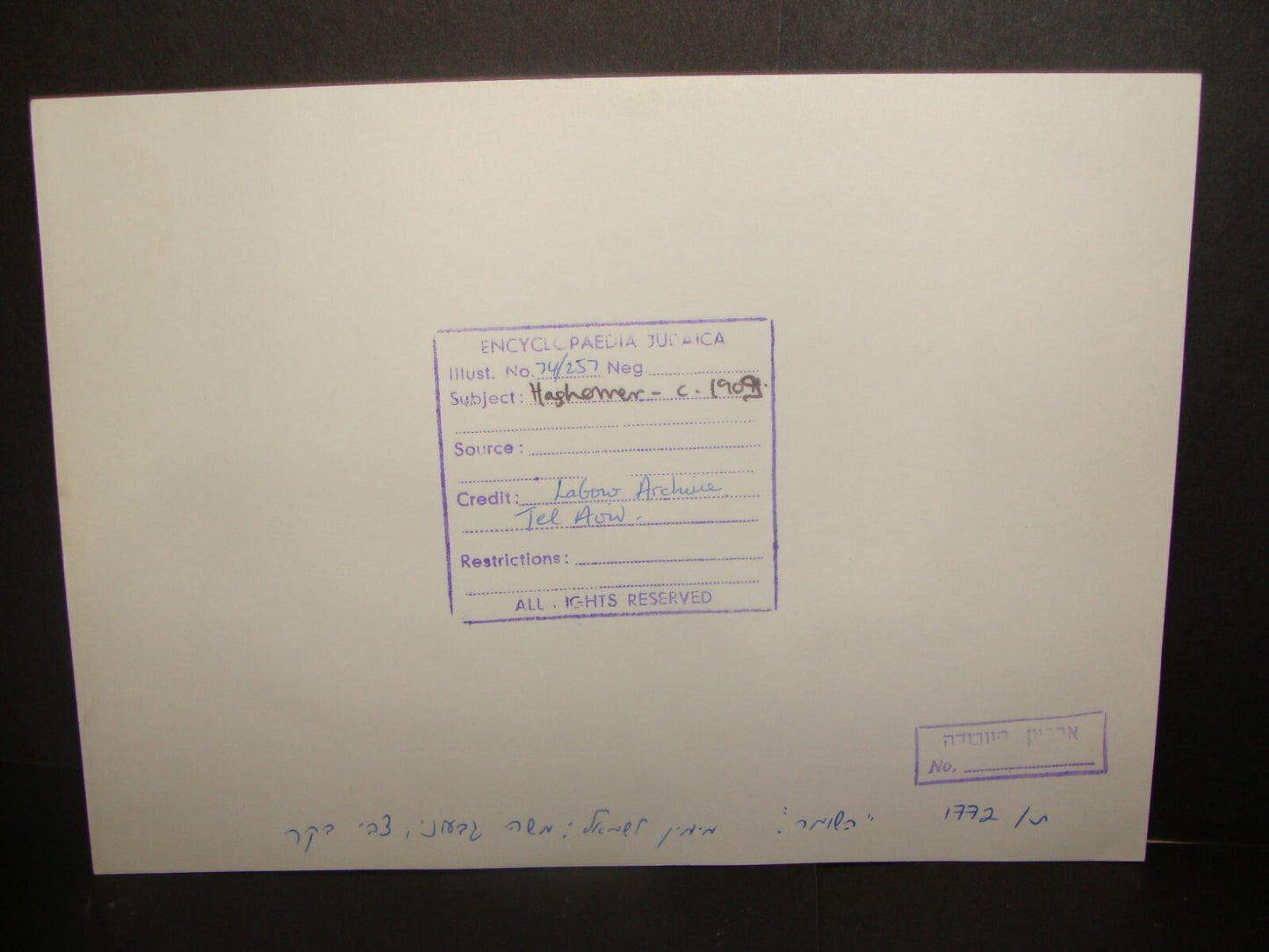 Photo Print Palestine HQ Labor Archives c.1909 HASHOMER Jewish Zionist Israel