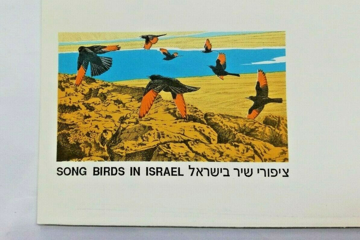 Stamp Israel Israeli Day Of Issue Cover 1995 Eilat Post Song Birds Envelope