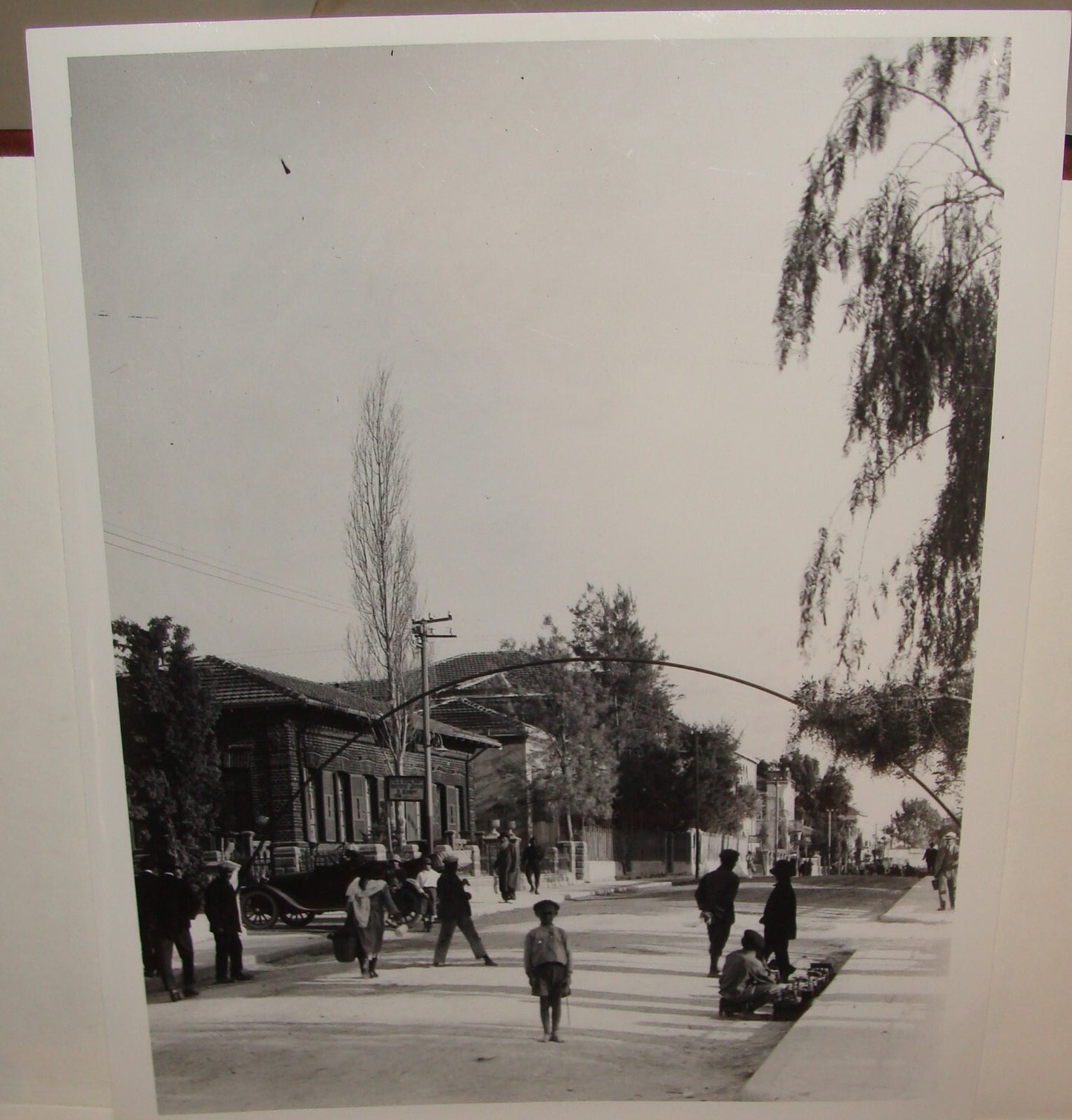 Photo Print Palestine MATSON , 1920s Israel TEL AVIV Herzl Avenue Jewish Hebrew