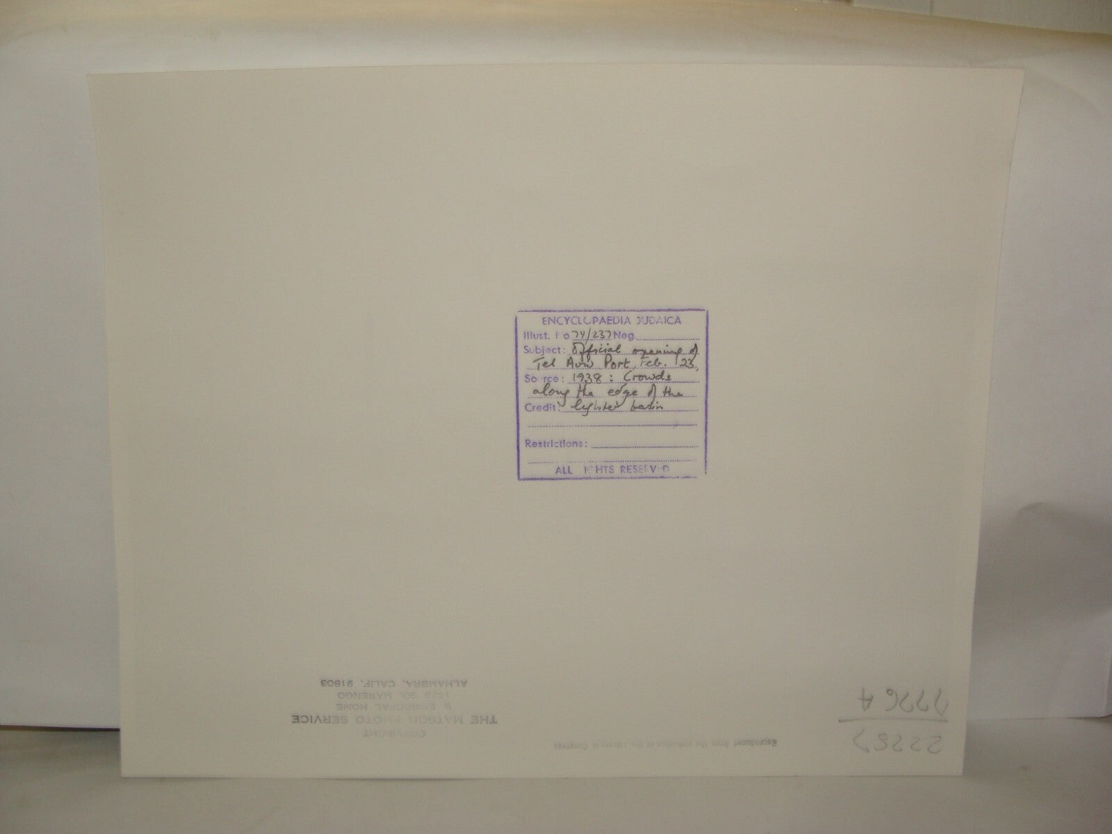 Photo Print, 1938 British Palestine Israel Tel Aviv Port Official Opening