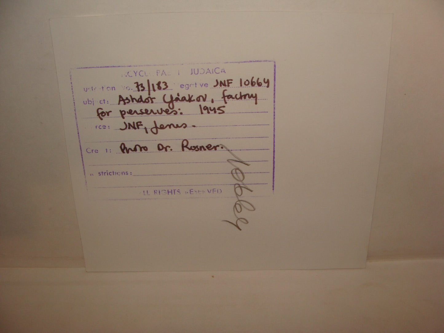 Photo Print, 1945 Jewish Judaica Palestine Israel KIBBUTZ ASHDOT YAAKOV Factory