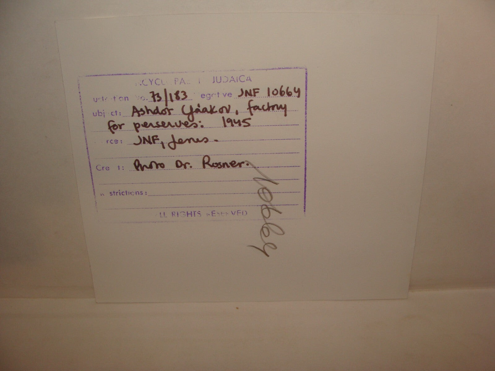 Photo Print, 1945 Jewish Judaica Palestine Israel KIBBUTZ ASHDOT YAAKOV Factory