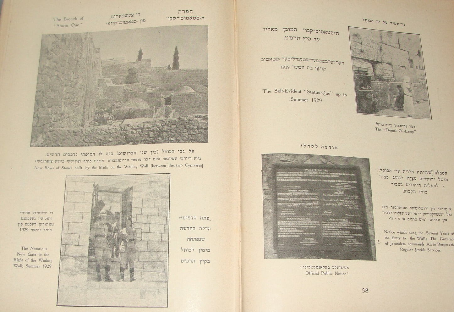 Book Jewish RARE Judaica 1930 Israel Palestine War And Peace Zionist History