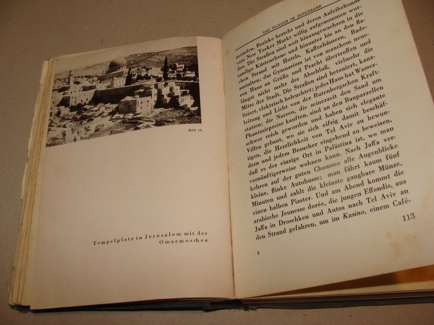 Germany Book Jewish 1933 PALESTINE Israel Hugo Herrmann Zionist Pioneers German