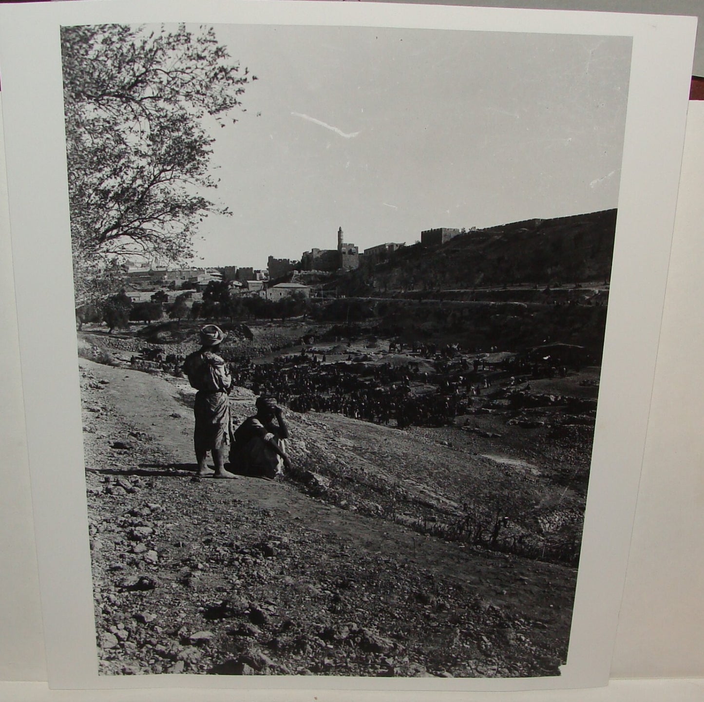Photo Print Palestine MATSON Pre 1918 Israel Jerusalem Sultan Pool
