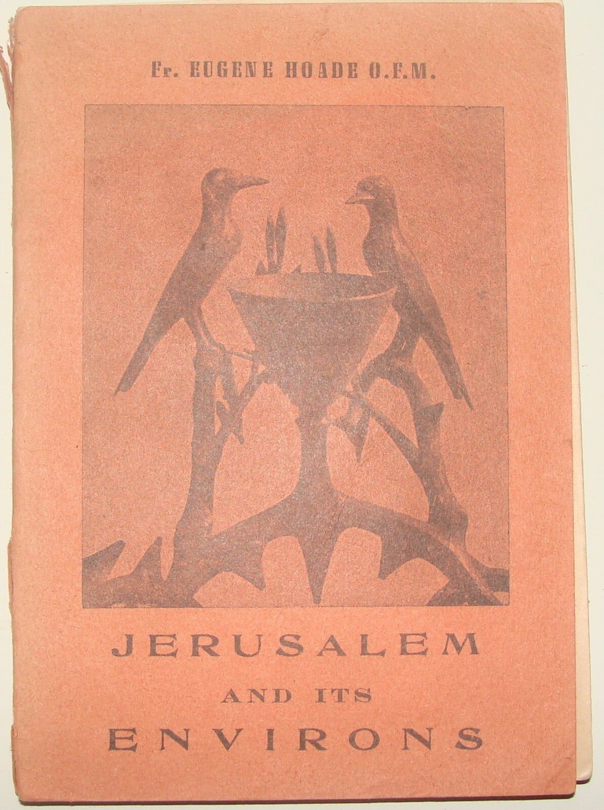 Jewish Judaica 1966 Jerusalem And Its Environs Book Map Photos Eugene Hoade 