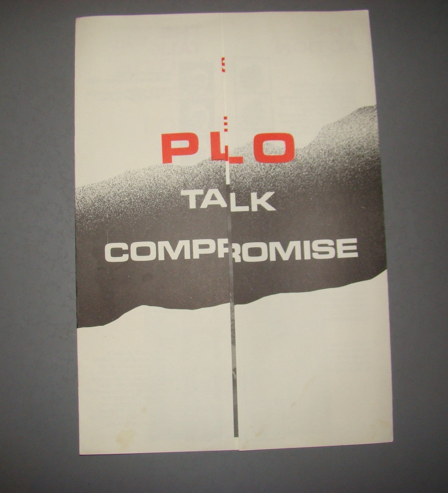 Palestine Jewish south African Zionist federation PLO propaganda brochure