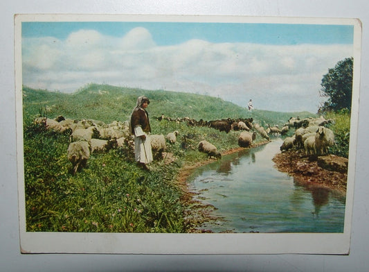 Photo Palestine Card jewish hebrew eretz israel El Lejun Megiddo Kibbutz