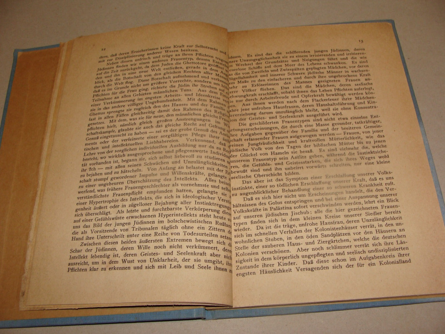 Germany Book Jewish 1921 Women In Palestine Israel German   Zionism Zionist