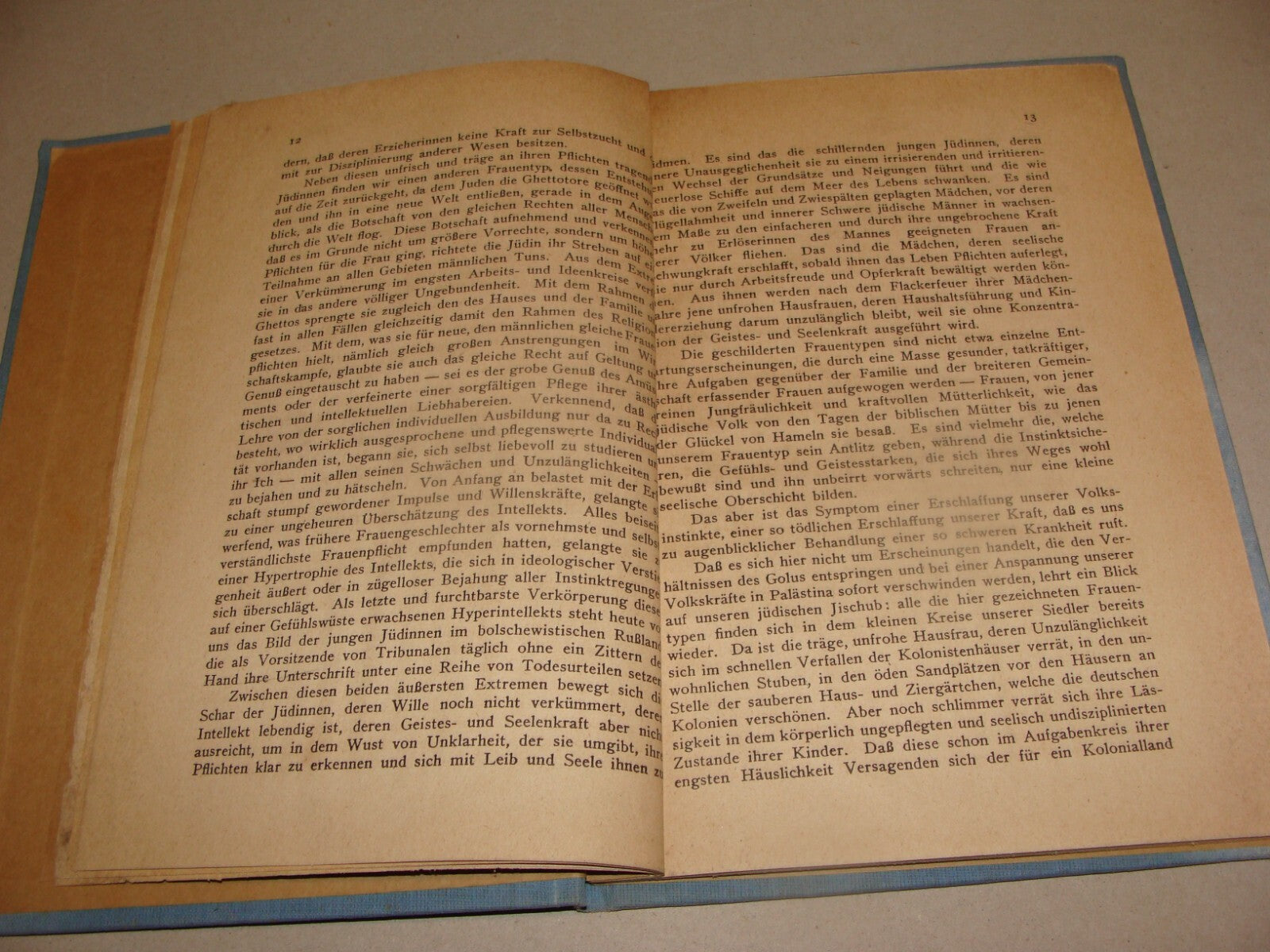 Germany Book Jewish 1921 Women In Palestine Israel German   Zionism Zionist