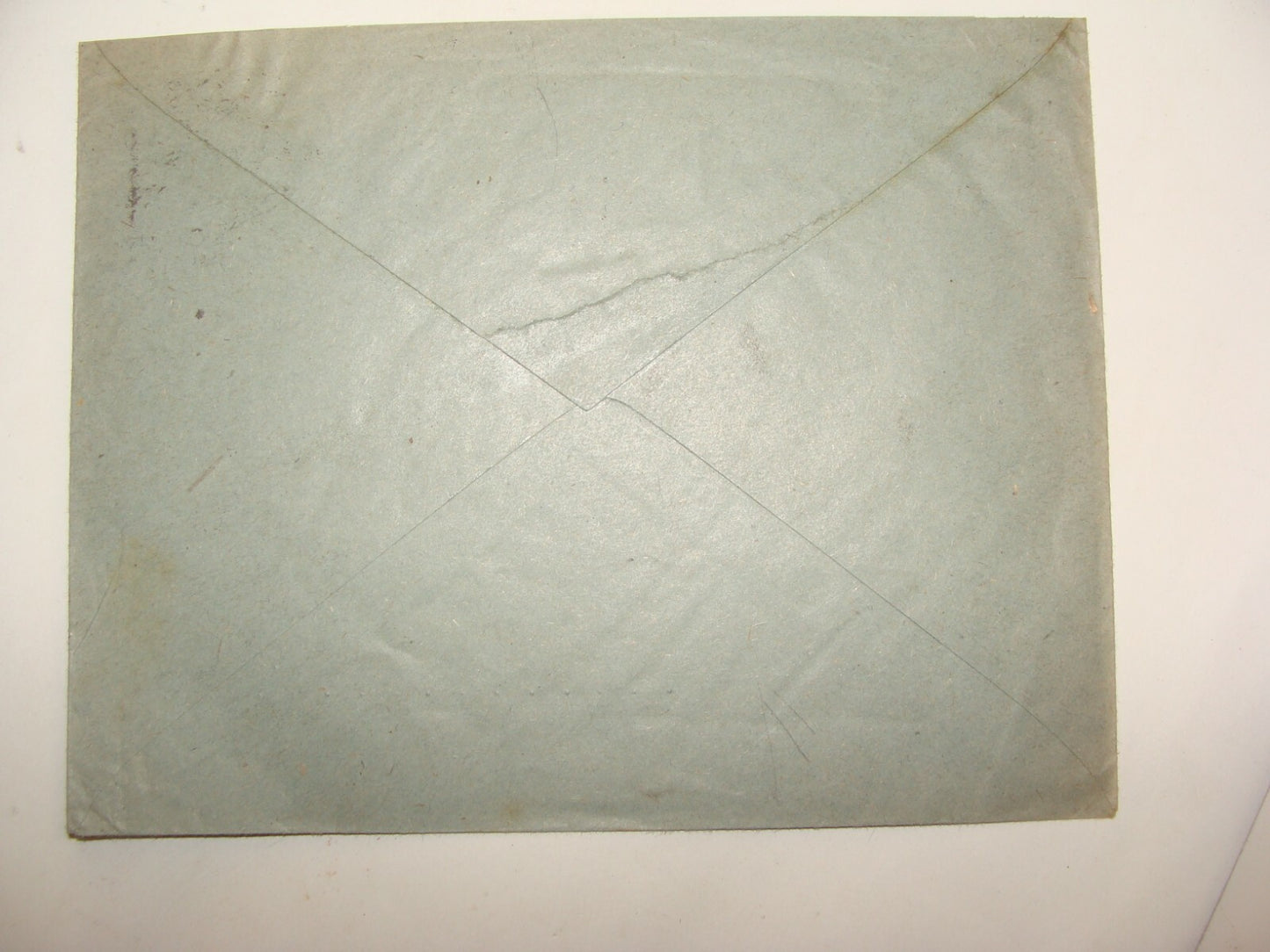 Stamp Jewish Judaica HOFFMANN Cover Food Vegetable Factory Company 1923