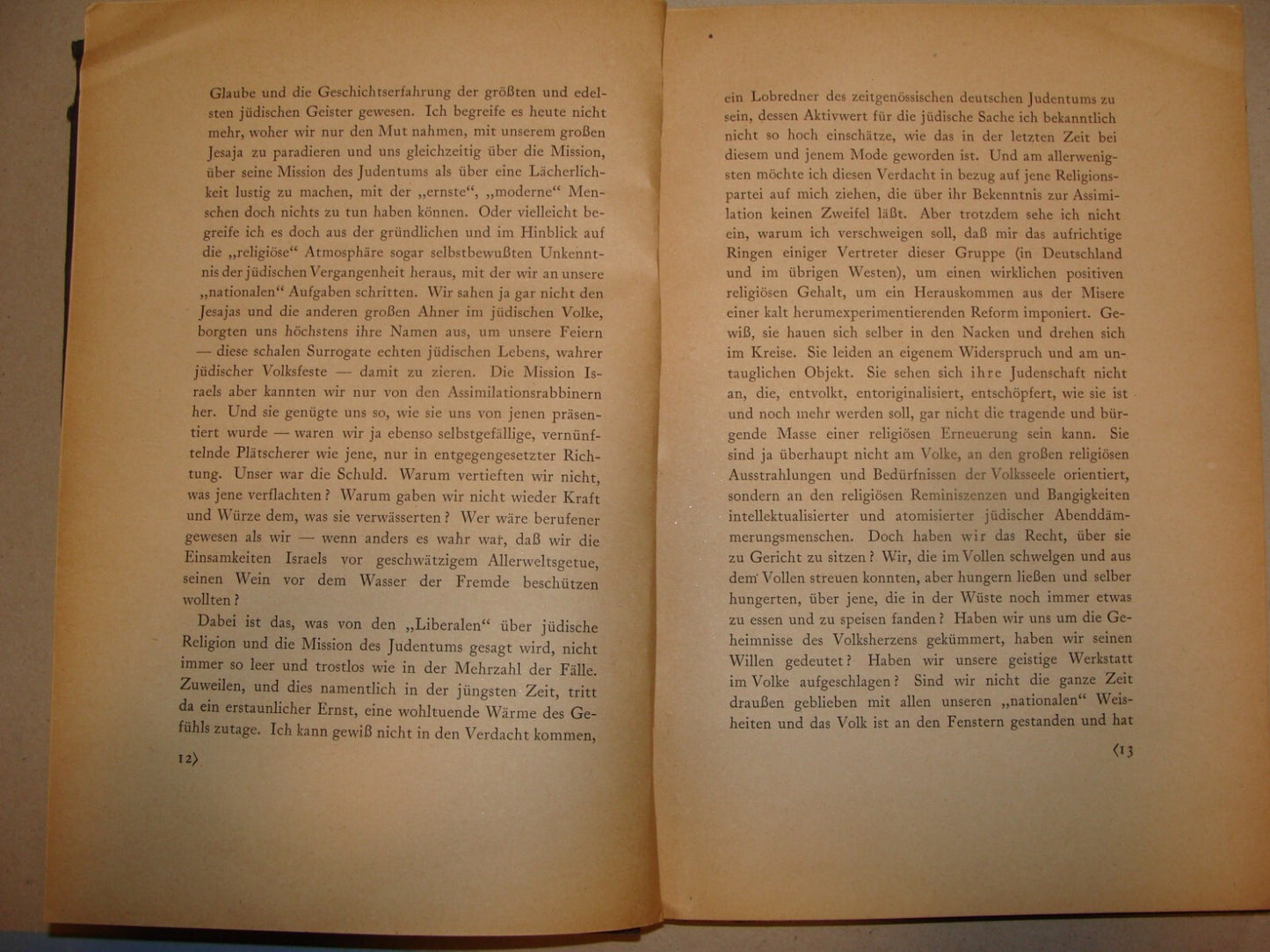 Germany Book Jewish Judaica 1920 German   Nathan Birnbaum Philosophy Zionism