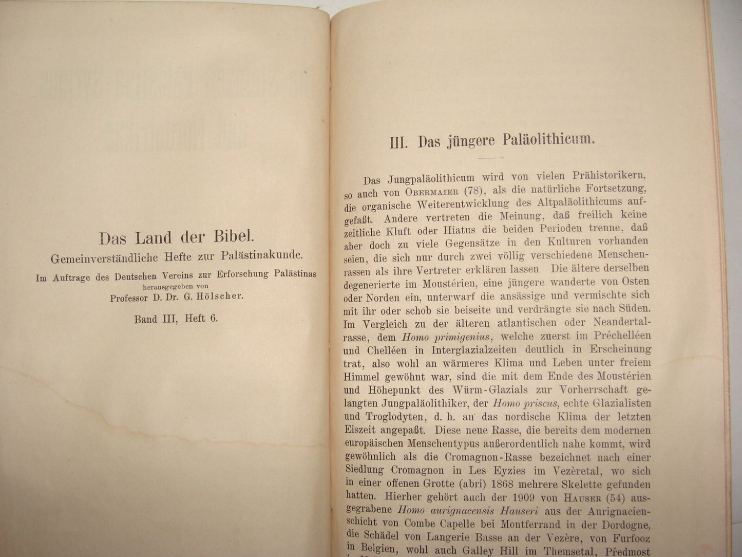 Book Palestine 1921 Syria North Africa Blanckenhorn Geology History German Map