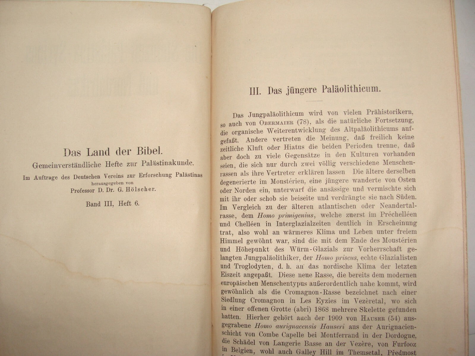 Book Palestine 1921 Syria North Africa Blanckenhorn Geology History German Map