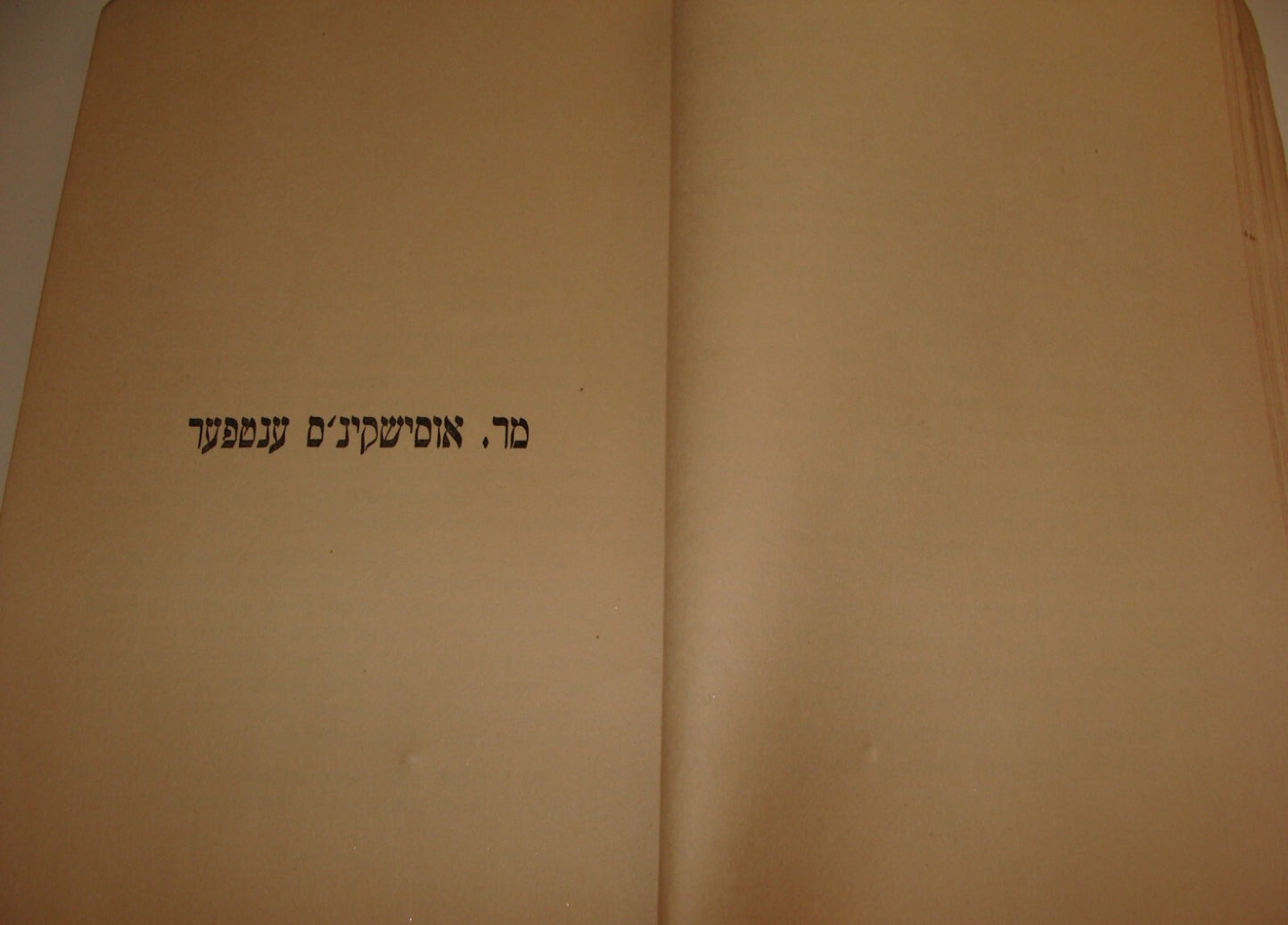 Book Jewish Judaica 1921 Zionist Yiddish Chaim Weizmann Ussishkin Arab Riots
