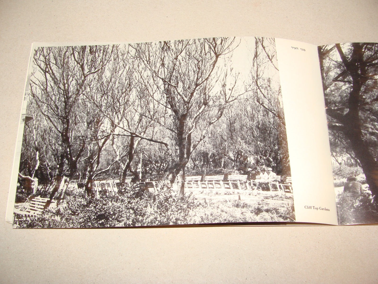 Photo Jewish 1950s Israel Israeli NATANYA Natania Guide Brochure Album Hebrew