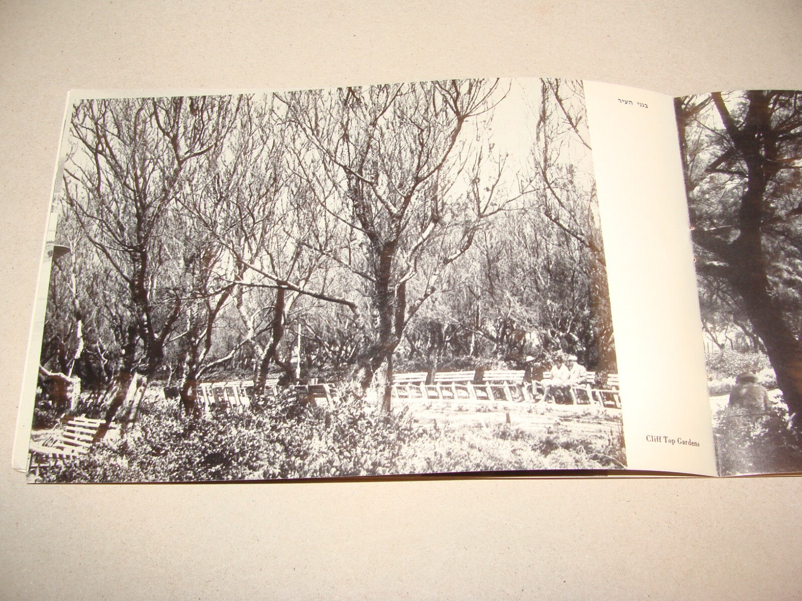 Photo Jewish 1950s Israel Israeli NATANYA Natania Guide Brochure Album Hebrew