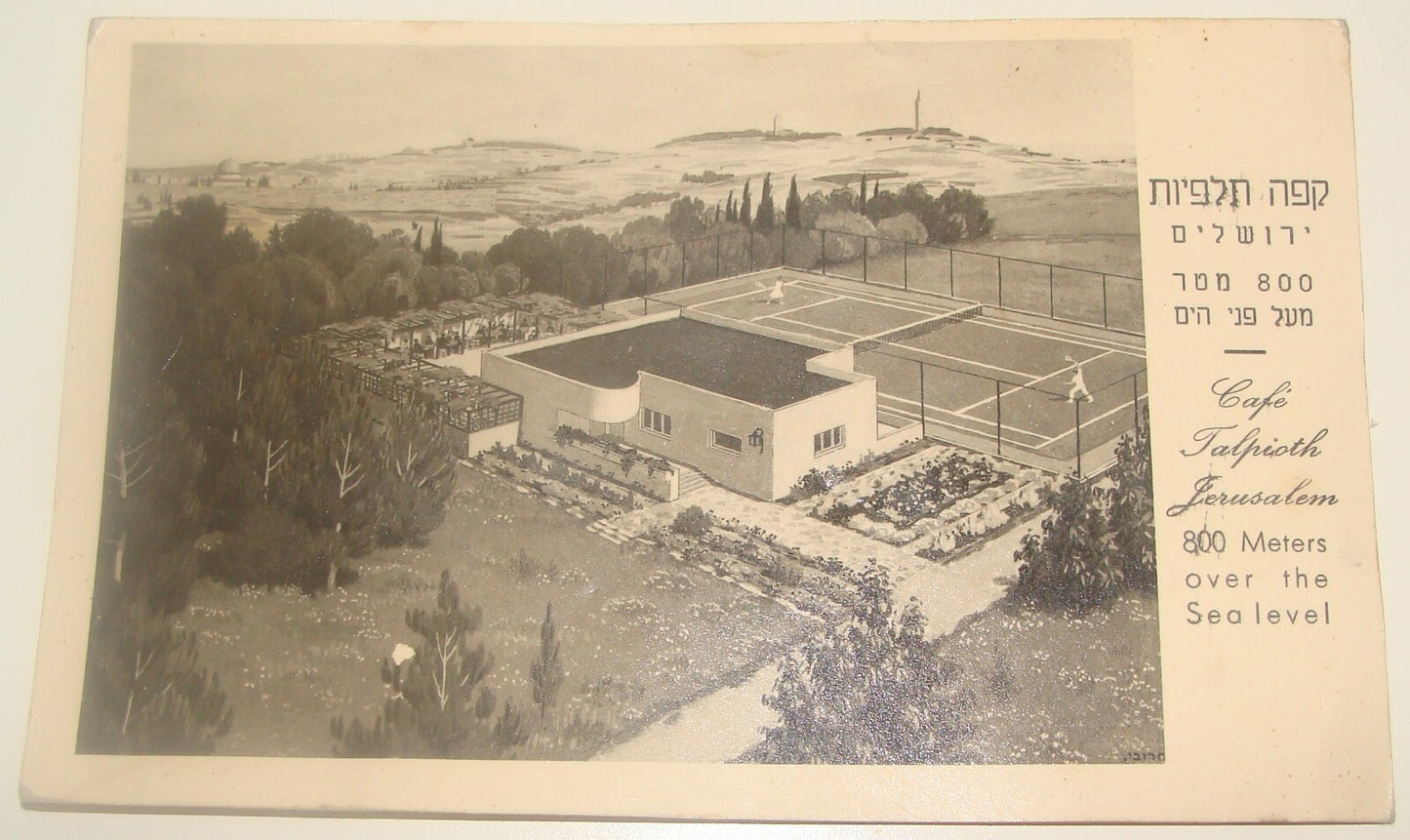 Photo Jewish Judaica Vintage Israel Israeli Hebrew Jerusalem Cafe Talpioth PC