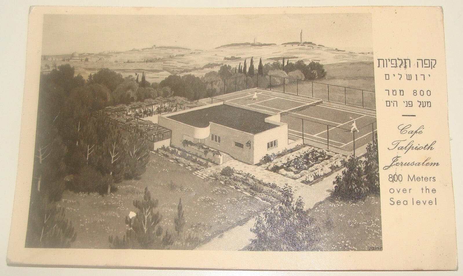 Photo Jewish Judaica Vintage Israel Israeli Hebrew Jerusalem Cafe Talpioth PC