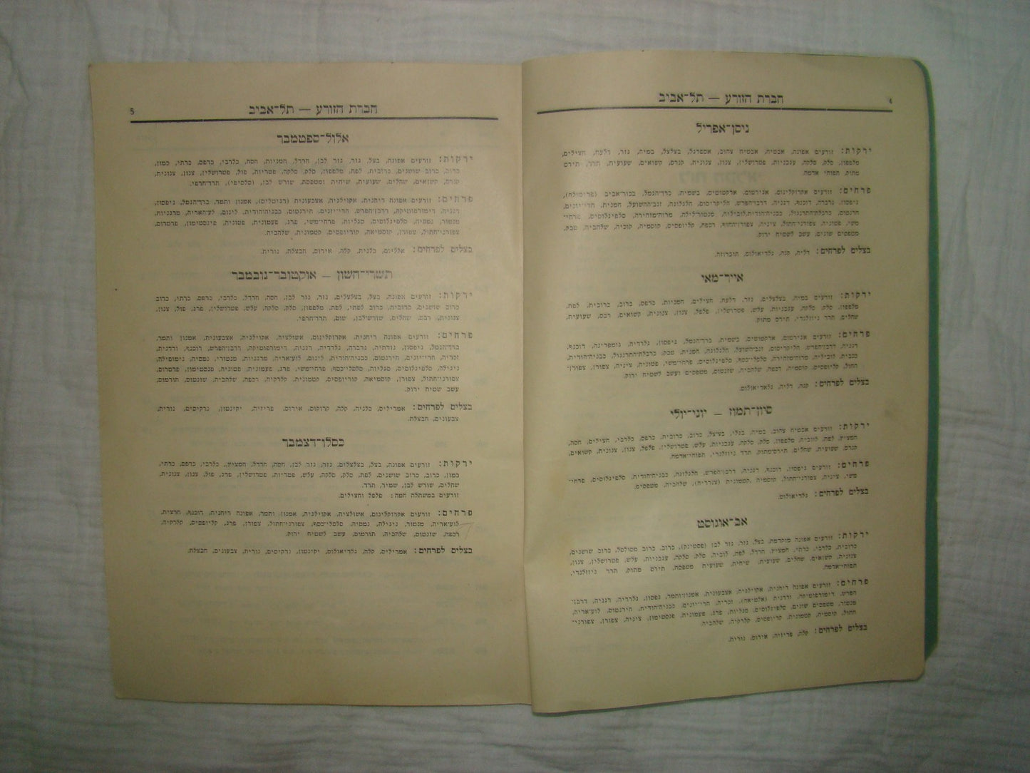 Book Jewish hebrew 1938 palestine eretz israel Hazorea Company Agriculture