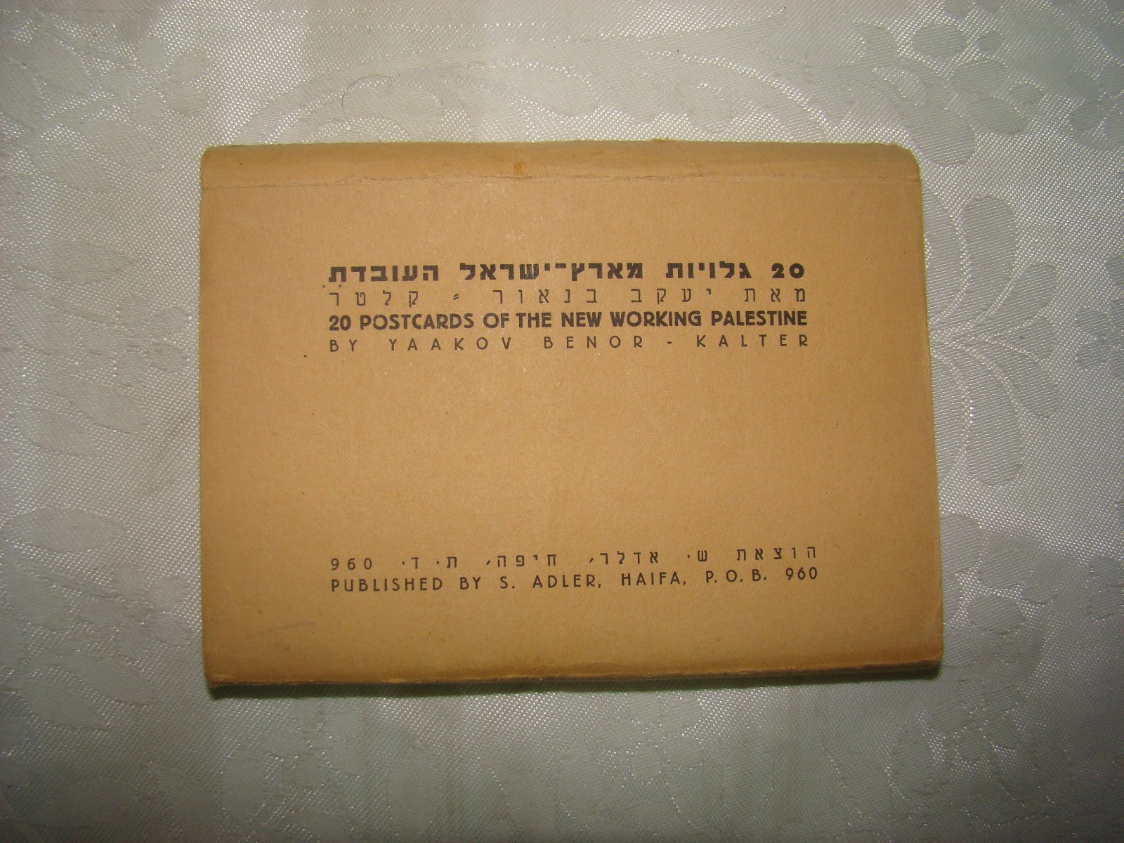 Photo Palestine Card hebrew jewish Israel Benor Kalter 20 postcard בנאור קלטר