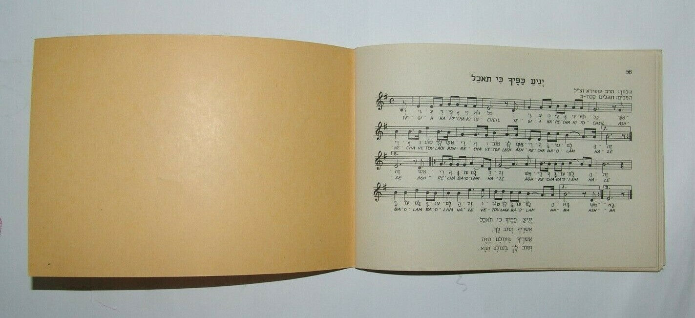 Booklet Jewish Judaica israel israeli Songs Lyrics Hebrew מזמרת הארץ