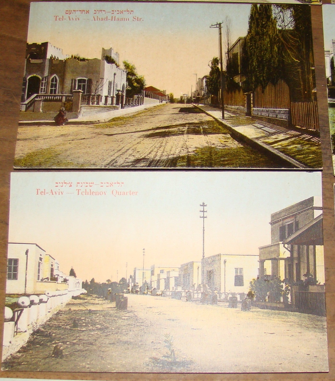 Photo Palestine Card judaica jewish Israel Moshe Ordmann postcard TEL AVIV ארדמן