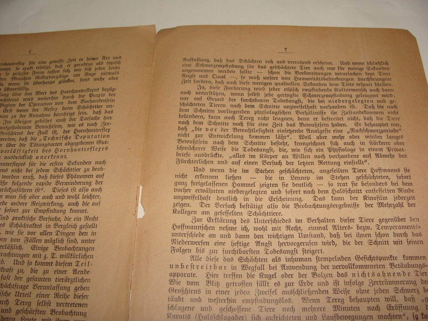 Germany Paper Jewish Judaica Antique 1910s German   Jews Slaughter Kosher Ritual