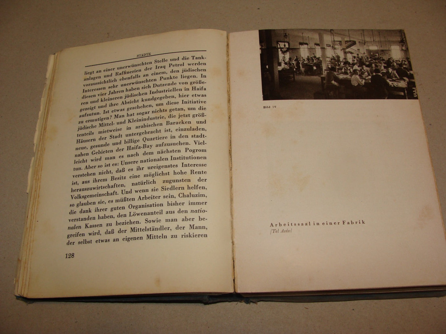 Germany Book Jewish 1933 PALESTINE Israel Hugo Herrmann Zionist Pioneers German