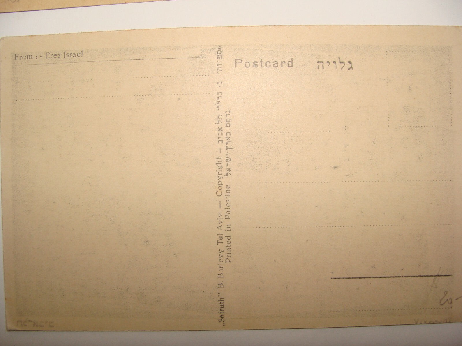 Photo Palestine Card Judaica Jewish Hebrew Israel TEL AVIV Barlevi Postcard Lot