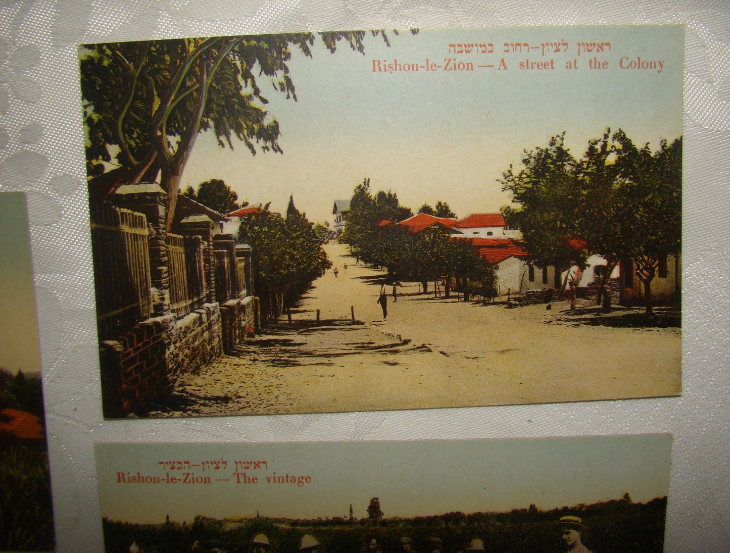 Photo Palestine Card hebrew jewish Israel Moshe Ordmann postcard Rishon LeZion