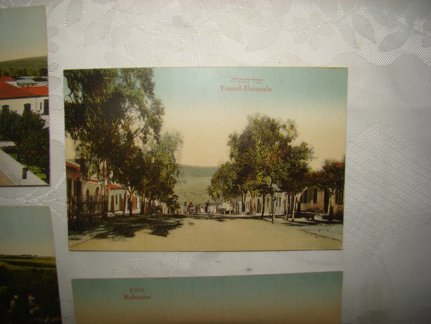 Photo Palestine Card hebrew jewish Israel Moshe Ordmann postcard Kibbutz Moshav