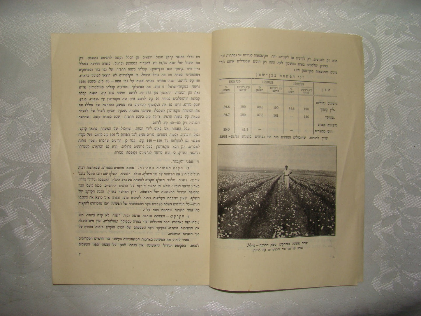 Book Jewish Hebrew Palestine Israel 1928 Agriculture Zionist Settlement Company