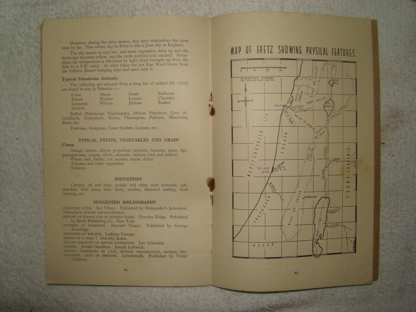 Jewish Youth WW2 1945 Bnei Akiva Handbook Britain Religious Zionist Map Hebrew