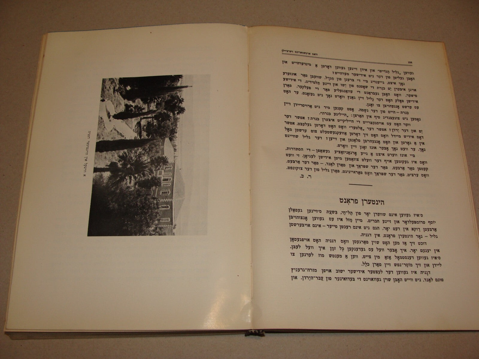 Book Jewish Judaica 1931 Palestine Israel Yiddish Zionist Women Rachel Ben Zvi