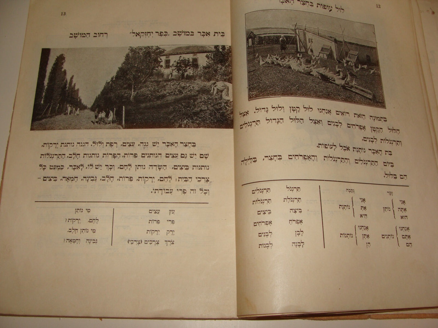 Book Jewish Judaica 1933 Palestine Israel Hebrew Language Kids Children ART