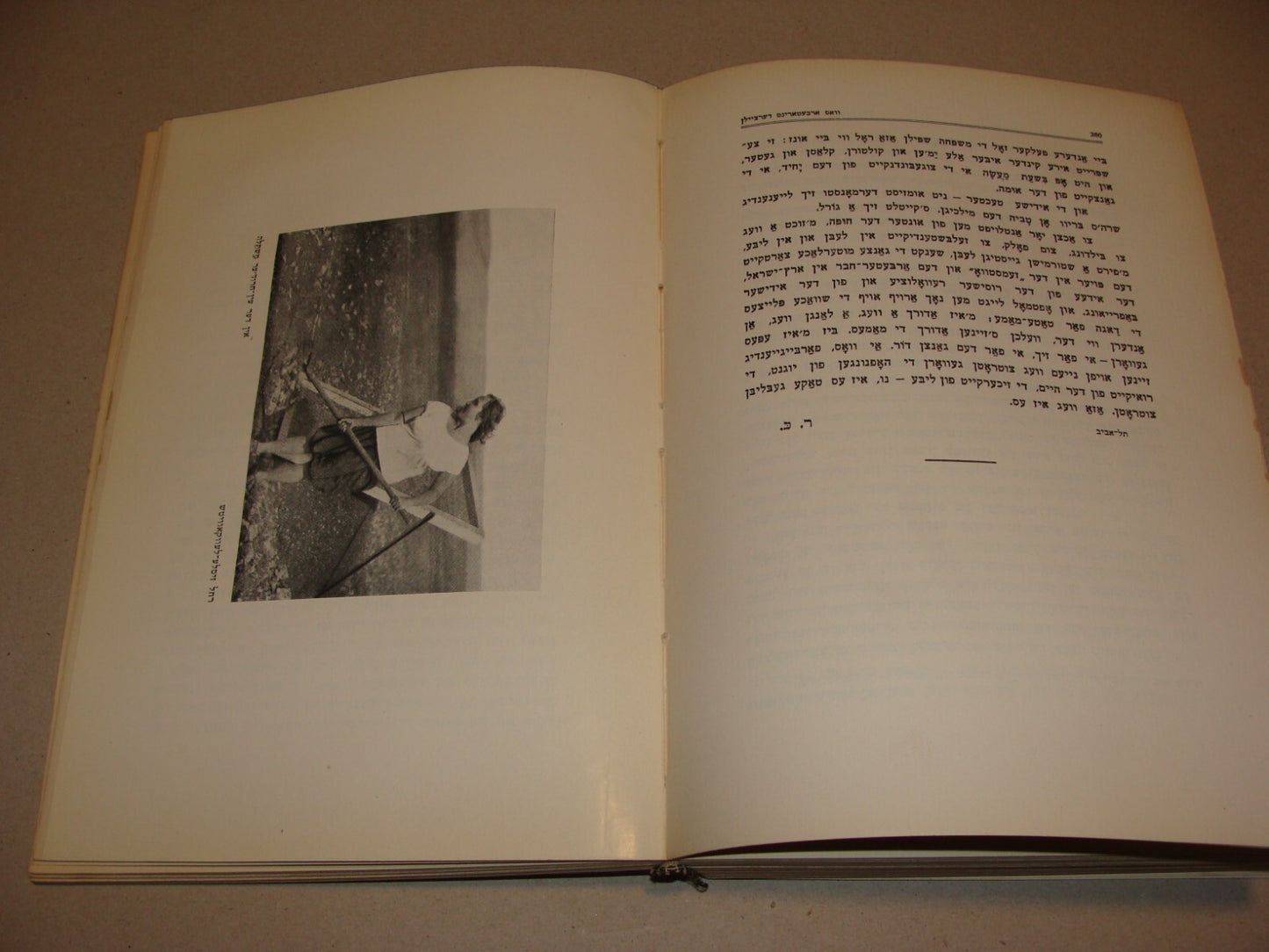 Book Jewish Judaica 1931 Palestine Israel Yiddish Zionist Women Rachel Ben Zvi