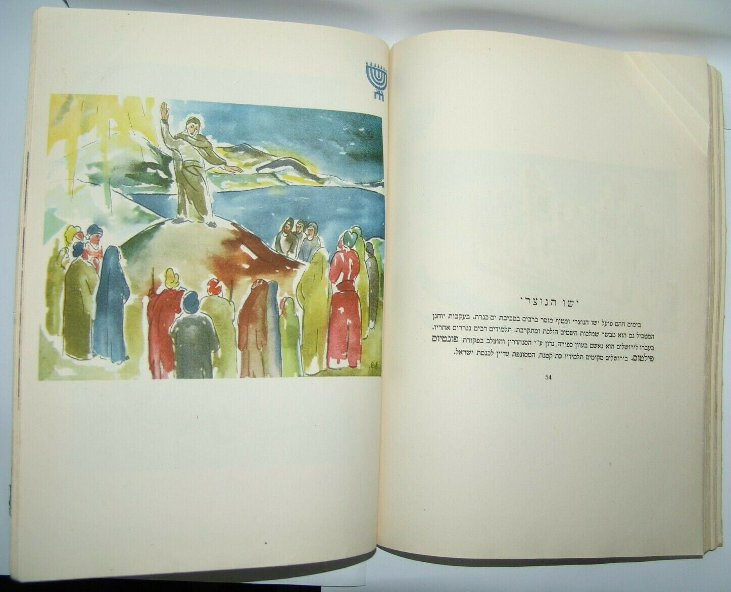 Book Jewish Agency Judaica israel israeli Sh'erit ha-Pletah History study 1949