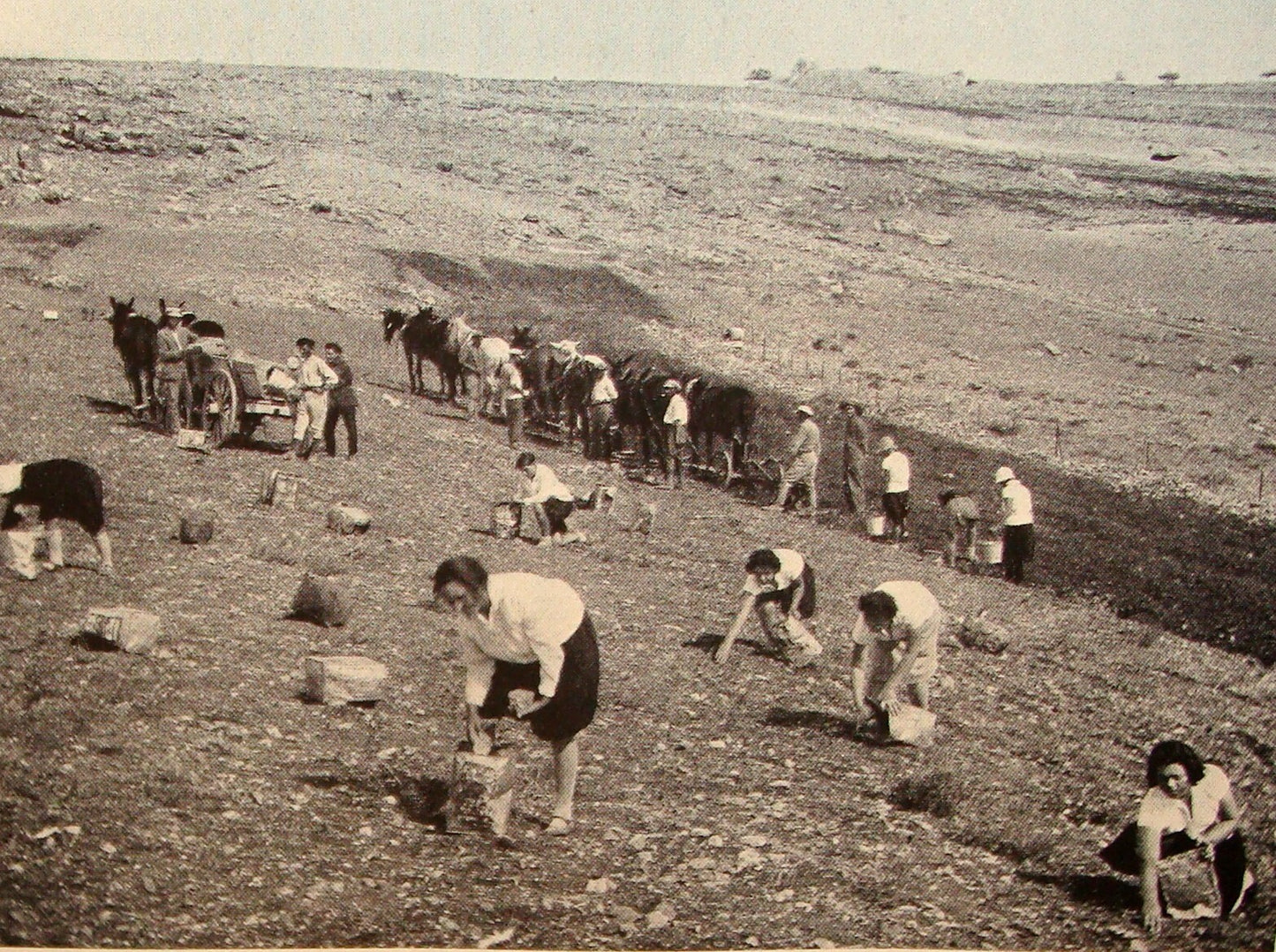Book Jewish Judaica 1931 Palestine Israel Yiddish Zionist Women Rachel Ben Zvi