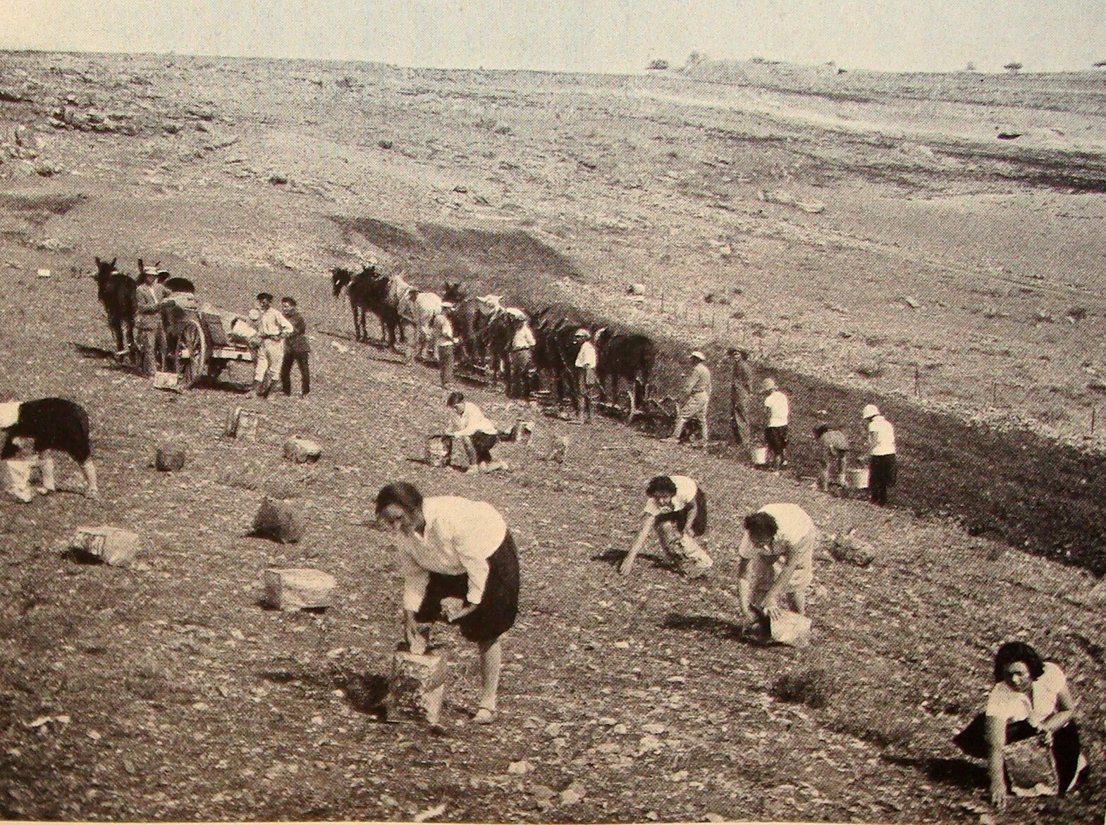 Book Jewish Judaica 1931 Palestine Israel Yiddish Zionist Women Rachel Ben Zvi