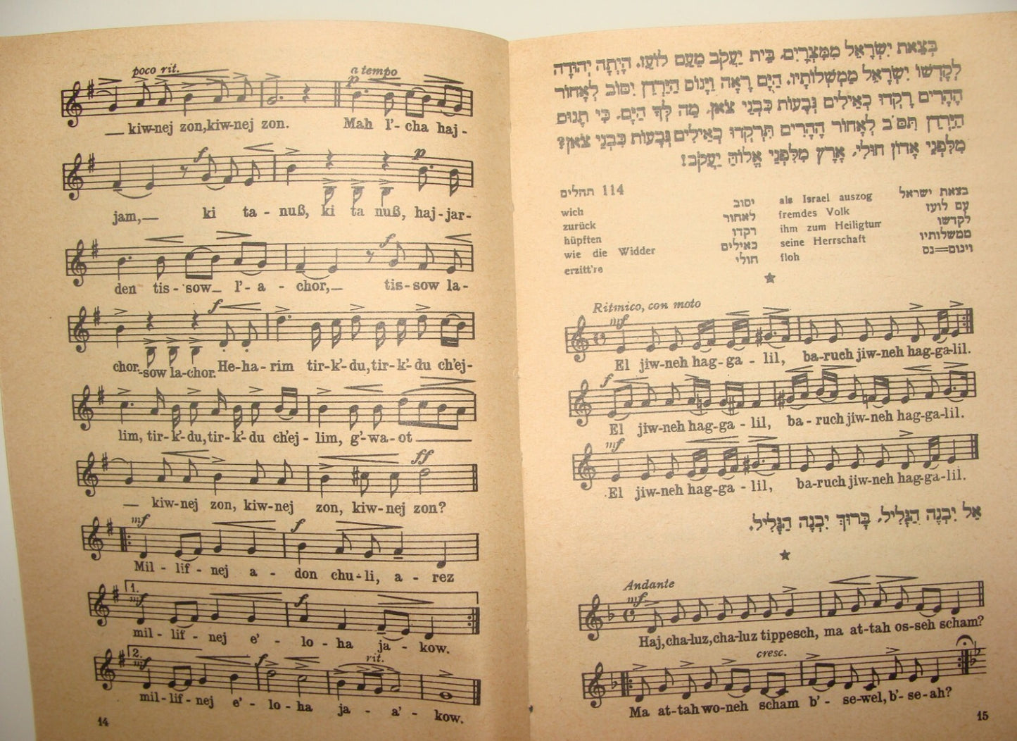 Germany Book Jewish Judaica Palestine Israel 1947 Poetry Poems Zionist Songs