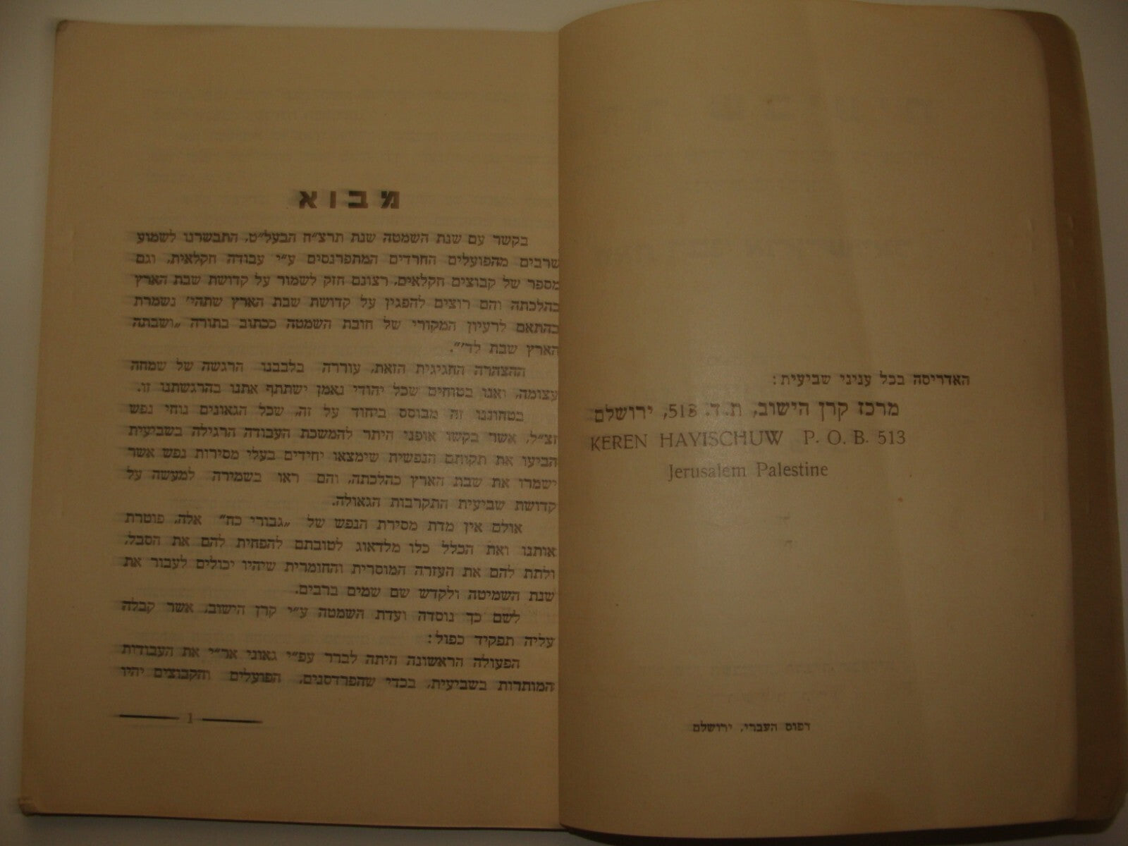 Book Jewish Judaica Palestine Israel Jerusalem Rabbi ערך שביעית Shemita Year