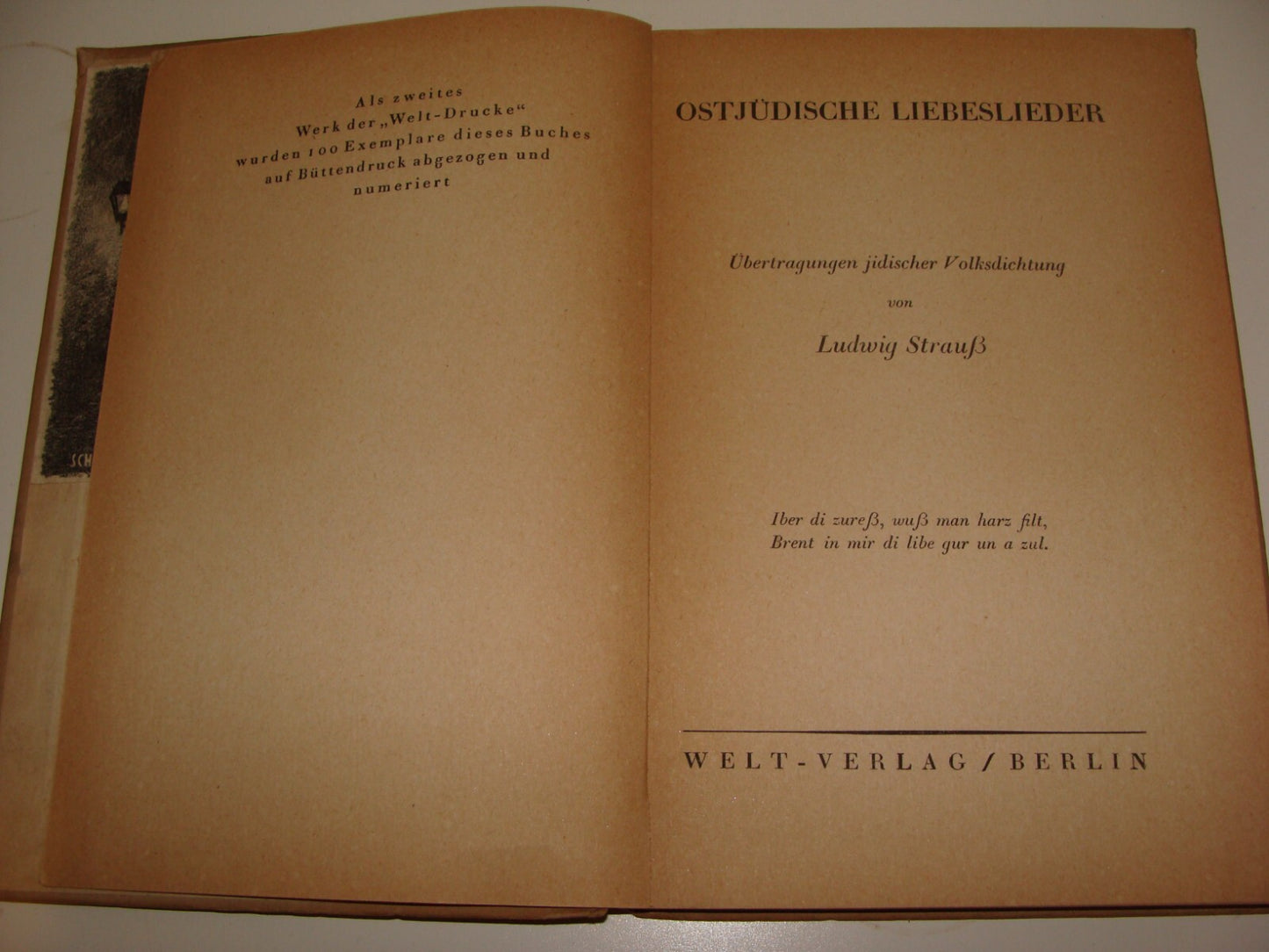 Germany Book Jewish Judaica 1920 German Poetry Poems Songs Book Ludwig Strauss