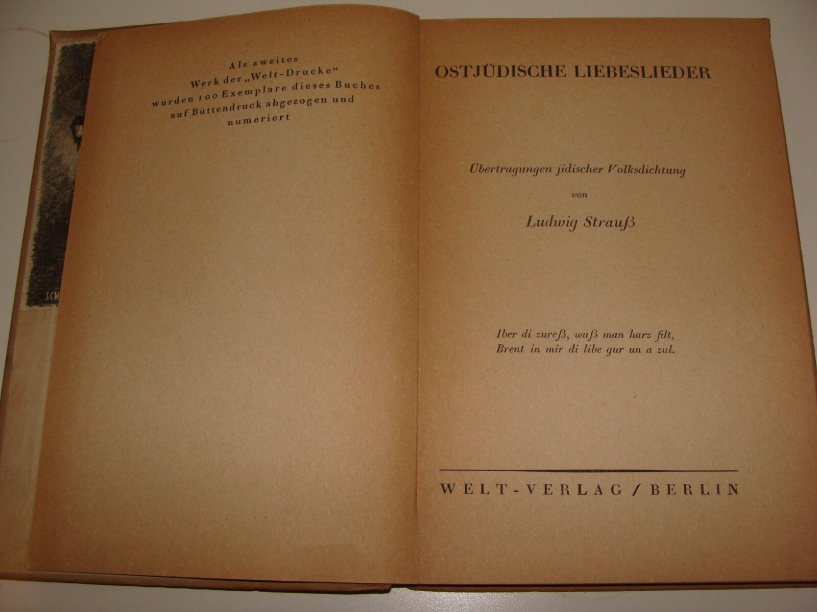 Germany Book Jewish Judaica 1920 German Poetry Poems Songs Book Ludwig Strauss