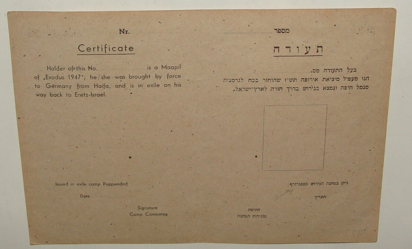Germany Jewish Judaica 1947 Palestine Israel EXODUS SHIP Survivors Certificate