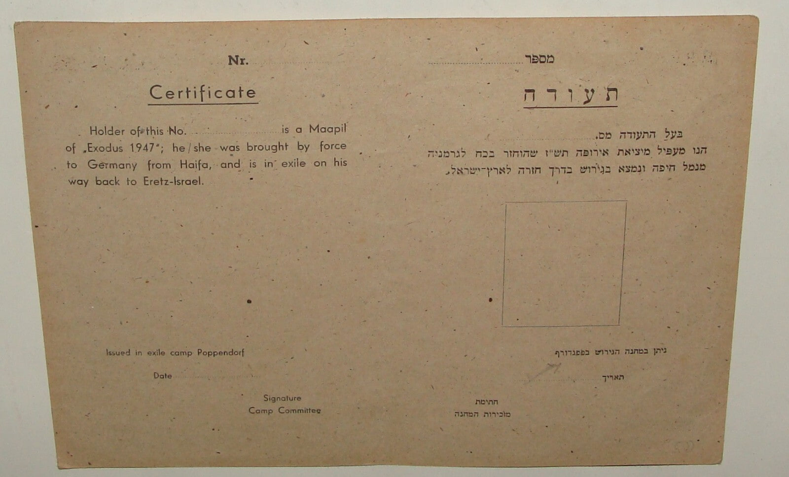 Germany Jewish Judaica 1947 Palestine Israel EXODUS SHIP Survivors Certificate