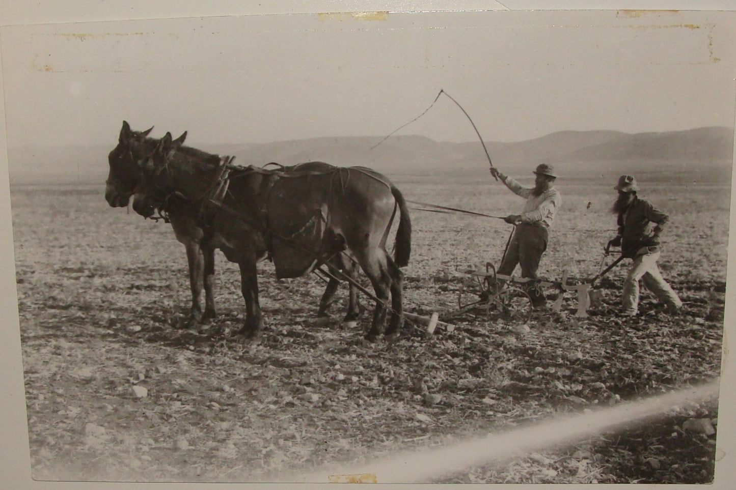 Photo Print, 1925 Palestine Israel KFAR HASIDIM Zionist Religious Poland Jews