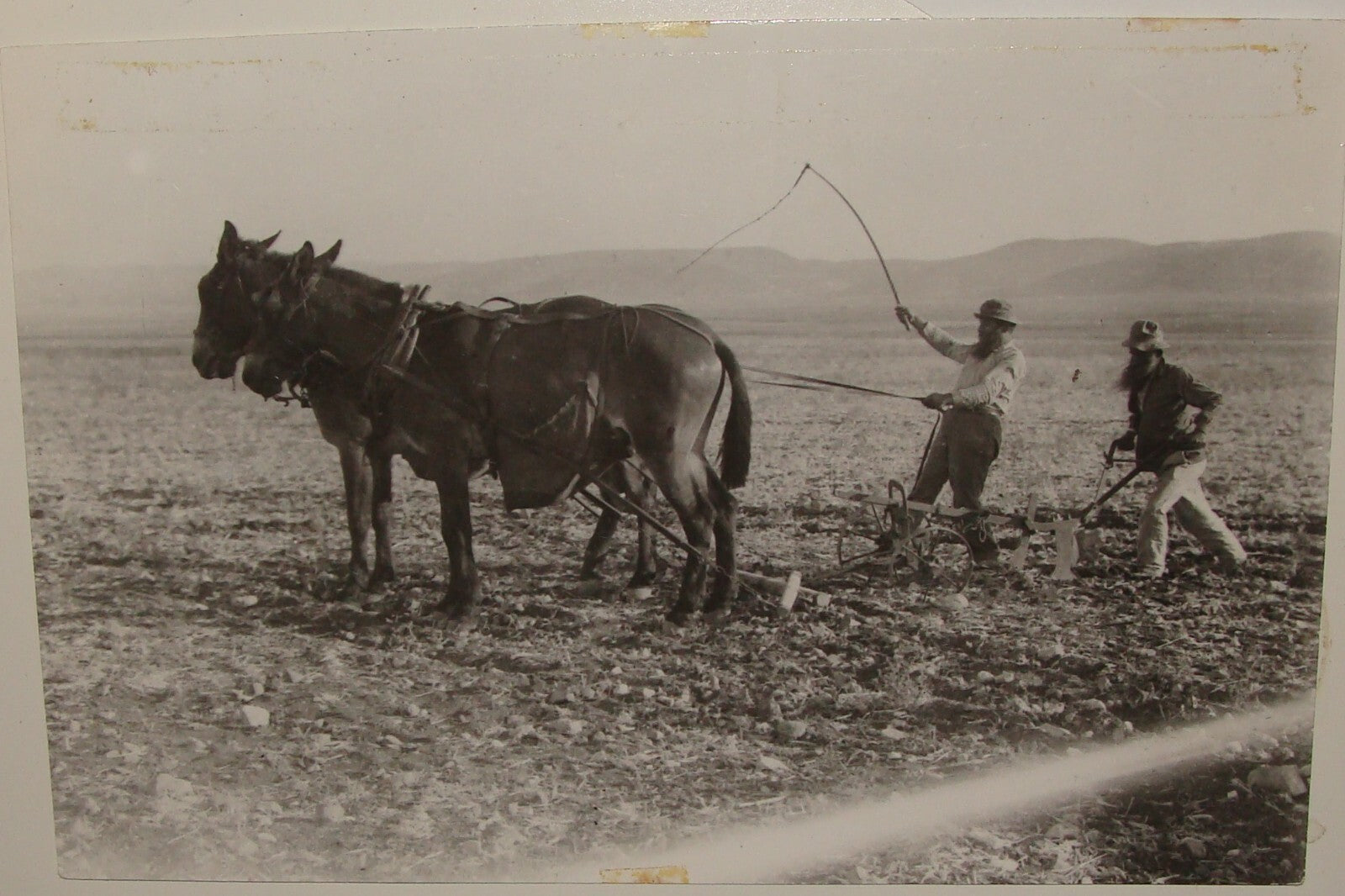Photo Print, 1925 Palestine Israel KFAR HASIDIM Zionist Religious Poland Jews