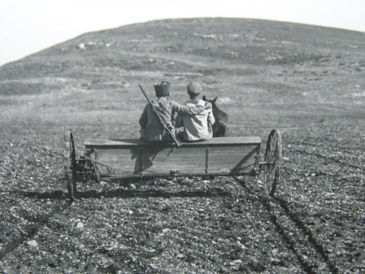 Jewish Judaica palestine Eretz Israel Kibbutz Ein HaShofet GPO press photo 1937
